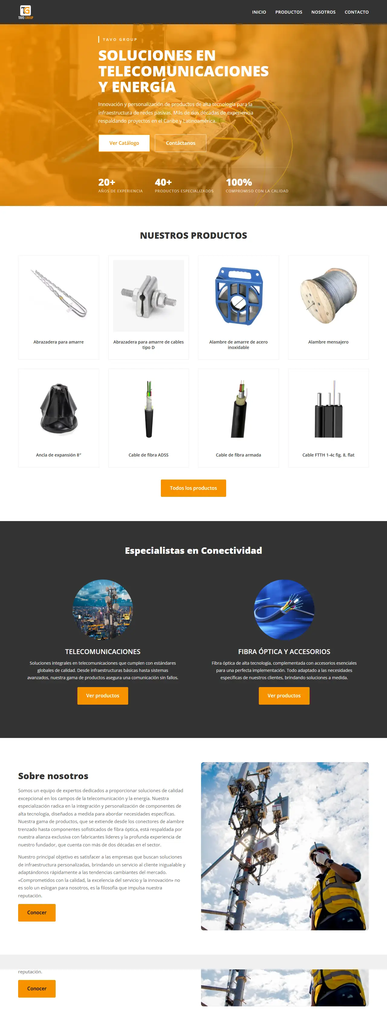 Tavo Group's website